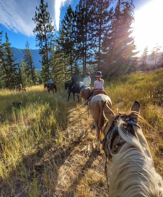Picture of Horseback Riding