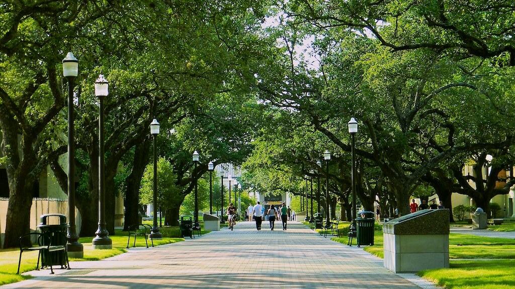 Picture of Texas A&M University