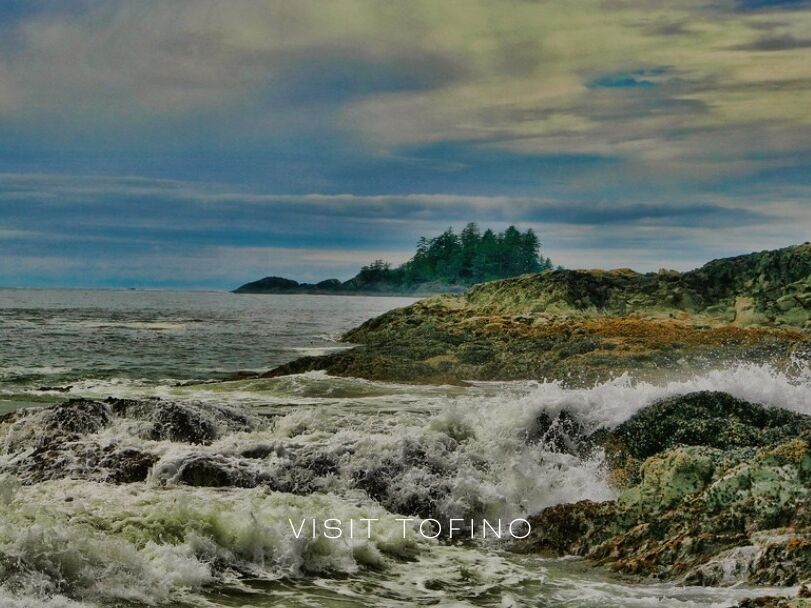 Picture of 1️⃣ Visit Tofino