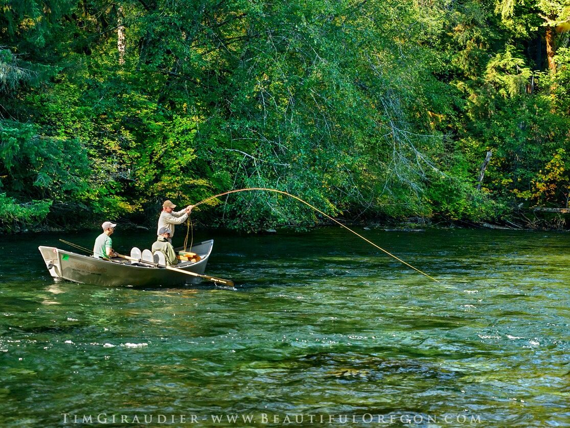 Picture of Fishing