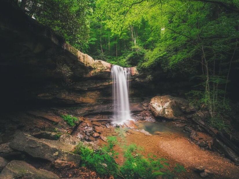 Picture of Ohiopyle State Park