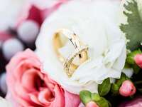 Wedding rings in flowers