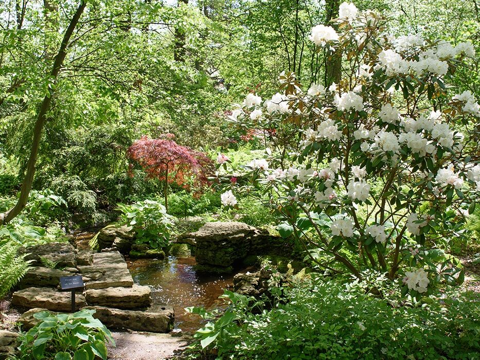 Picture of Toledo Botanical Garden