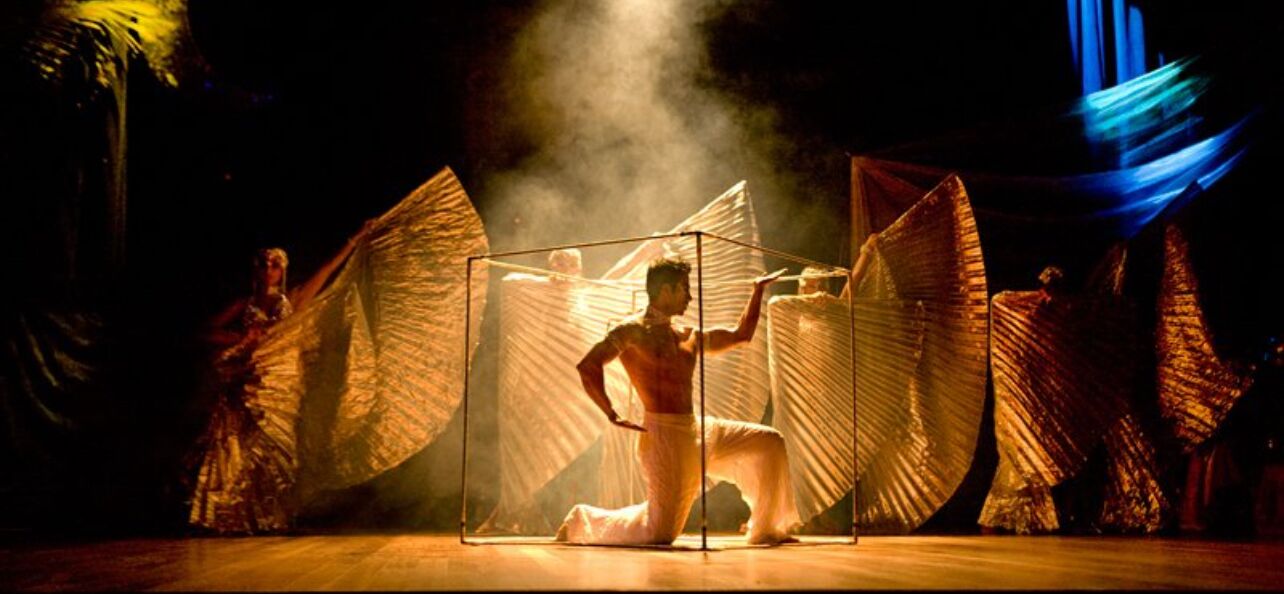 Picture of Circus Show 