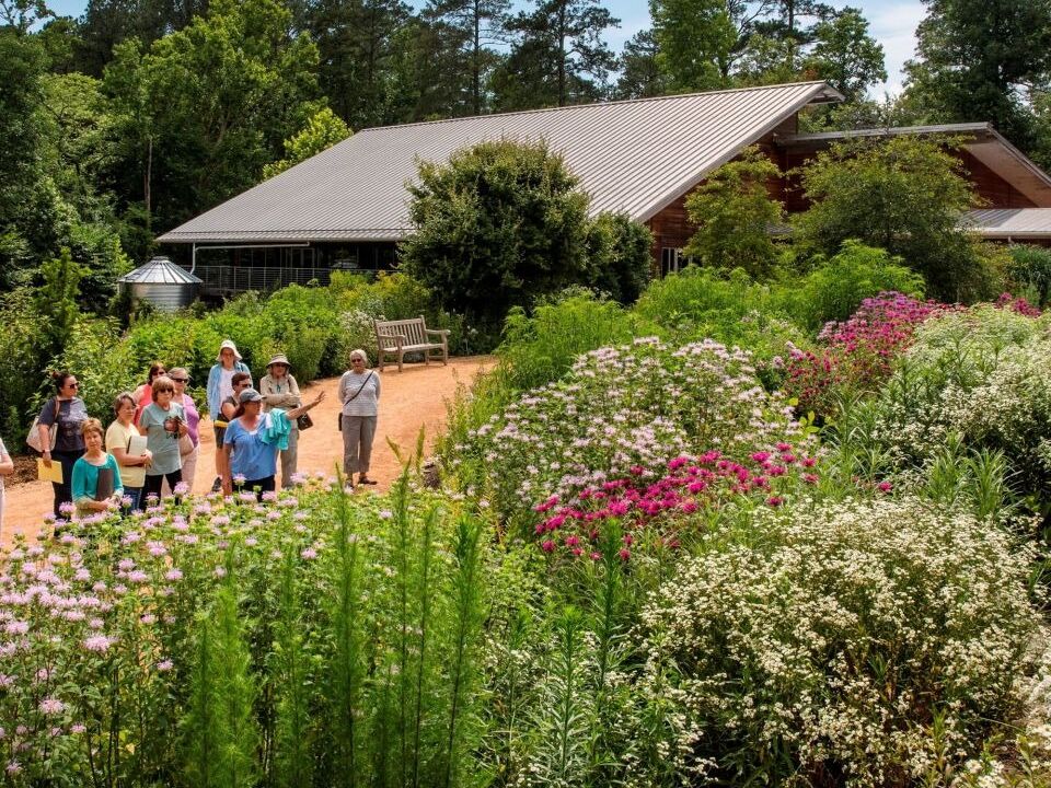 Picture of North Carolina Botanical Garden