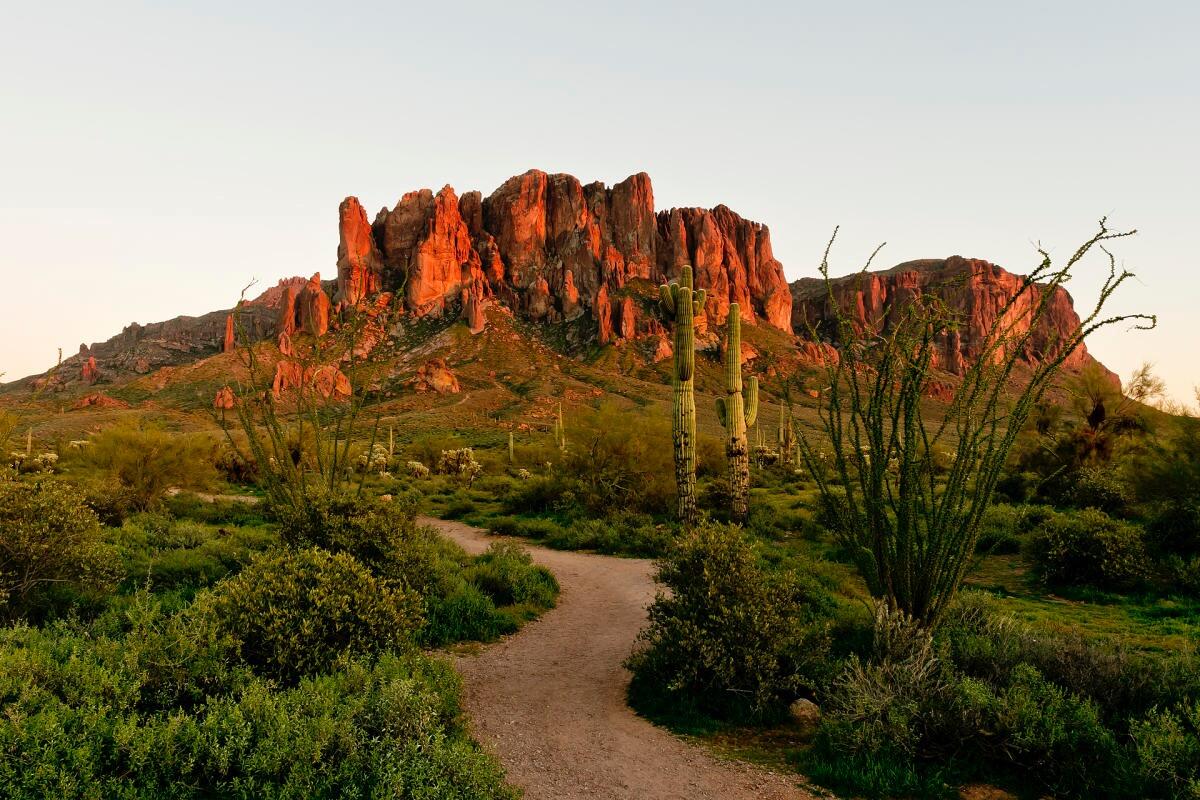 Picture of Lost Dutchman State Park