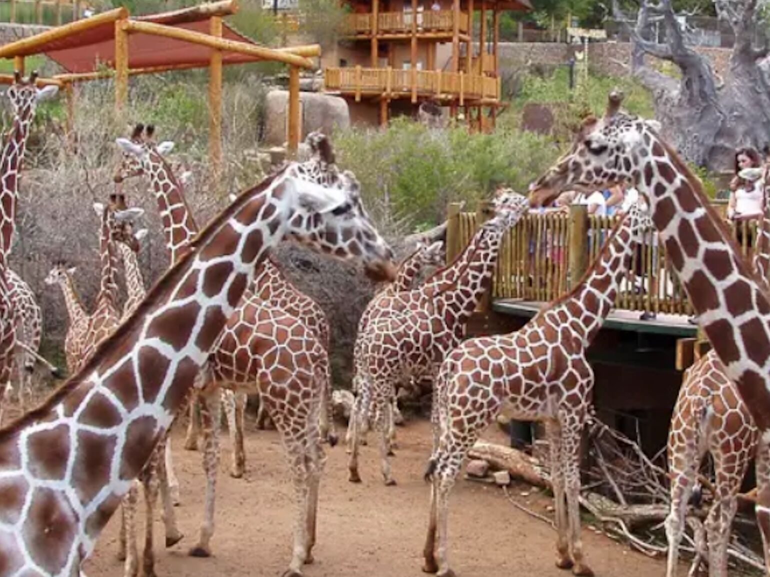 Picture of Cheyenne Mountain Zoo