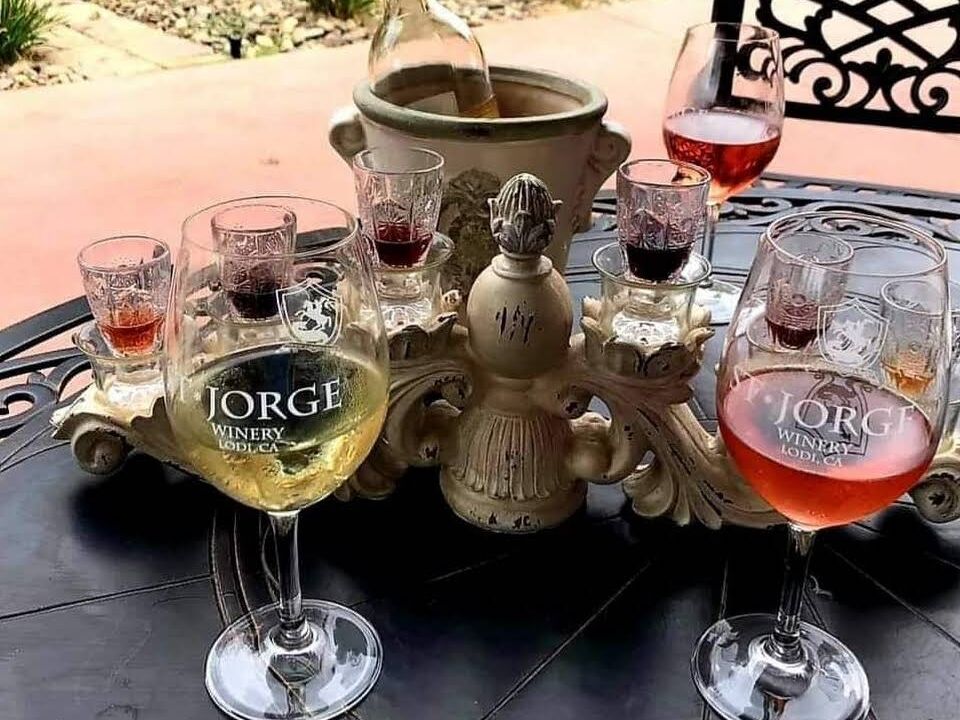 Picture of Coche Vino Lodi Wine Tasting Tours