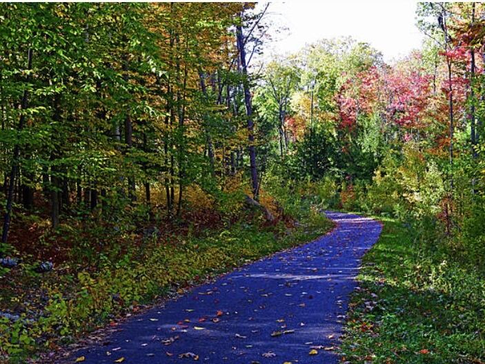 Picture of Lake Winnisquam Scenic Trail