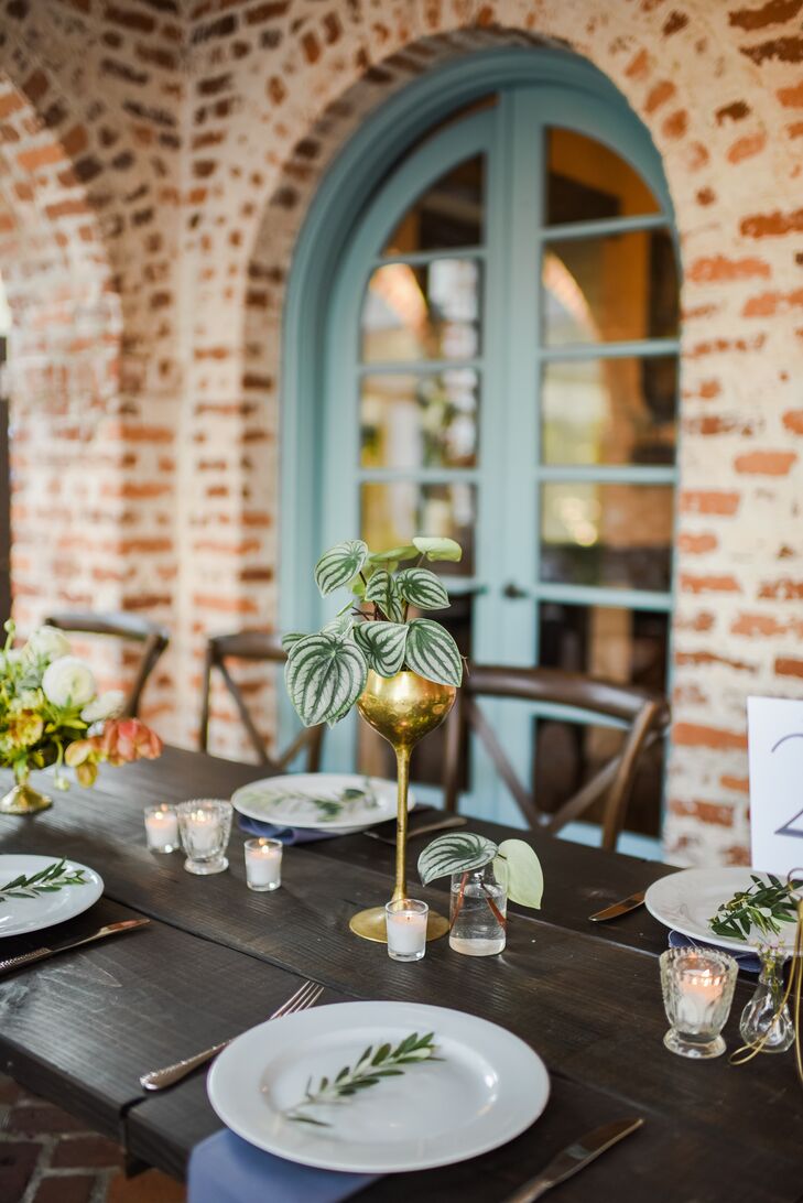 Simple Table Setting With Olive Sprigs