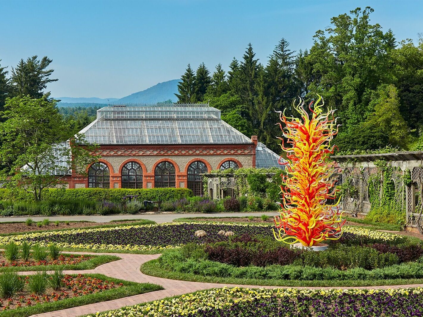 Picture of Chihuly at Biltmore