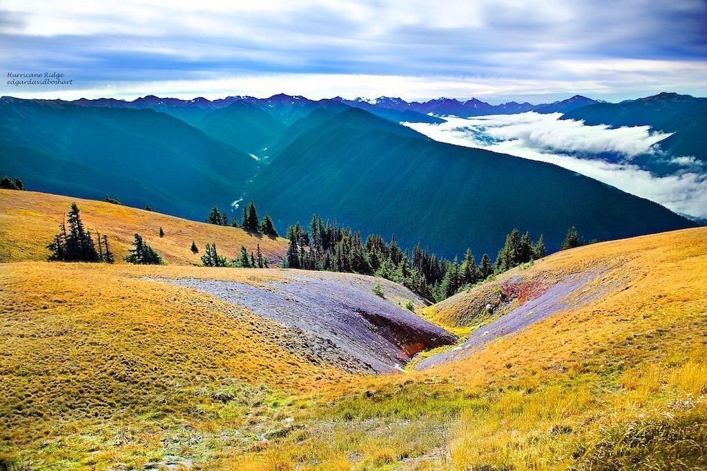 Picture of Hurricane Ridge Visitor Center