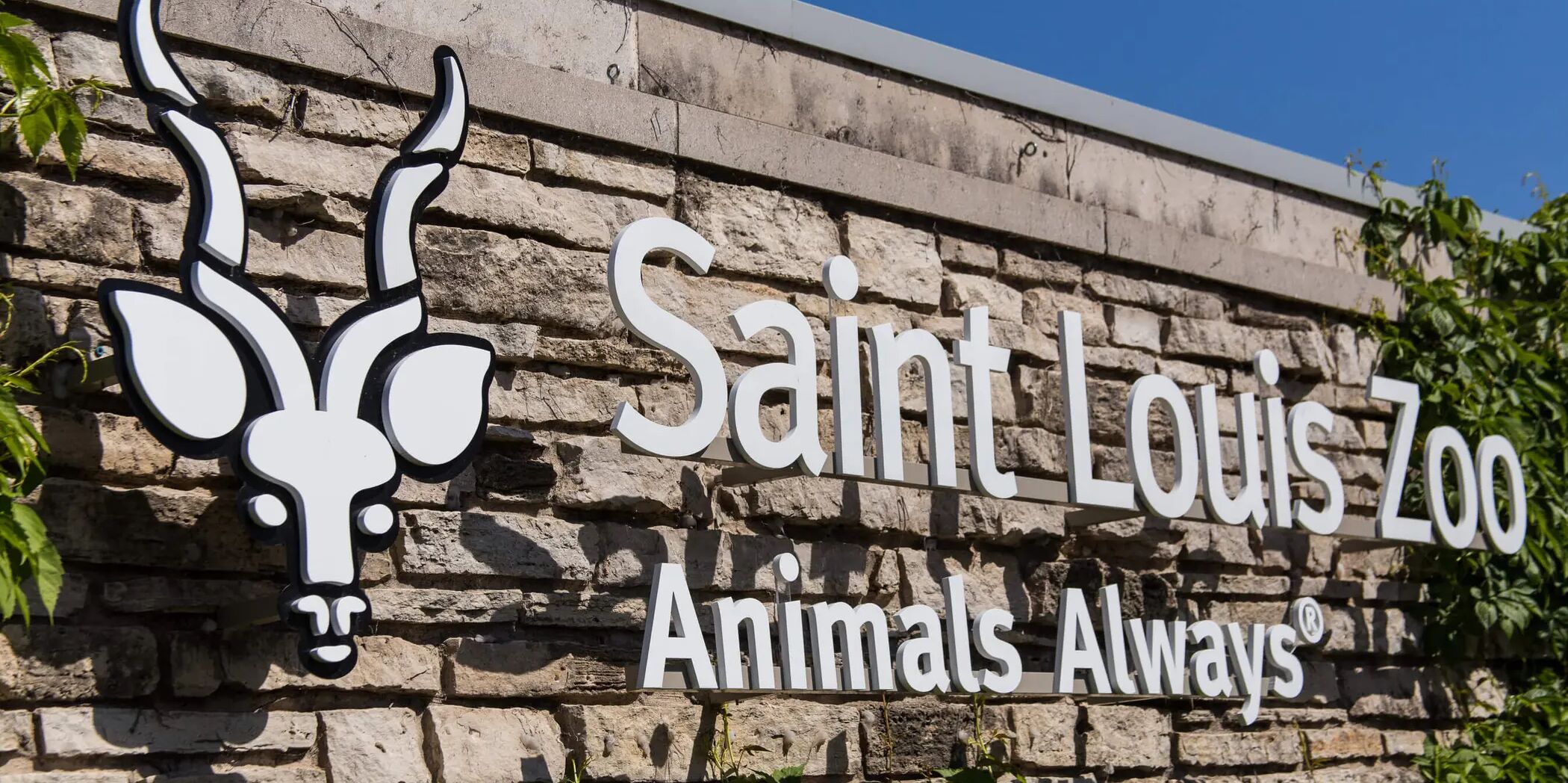 Picture of Saint Louis Zoo