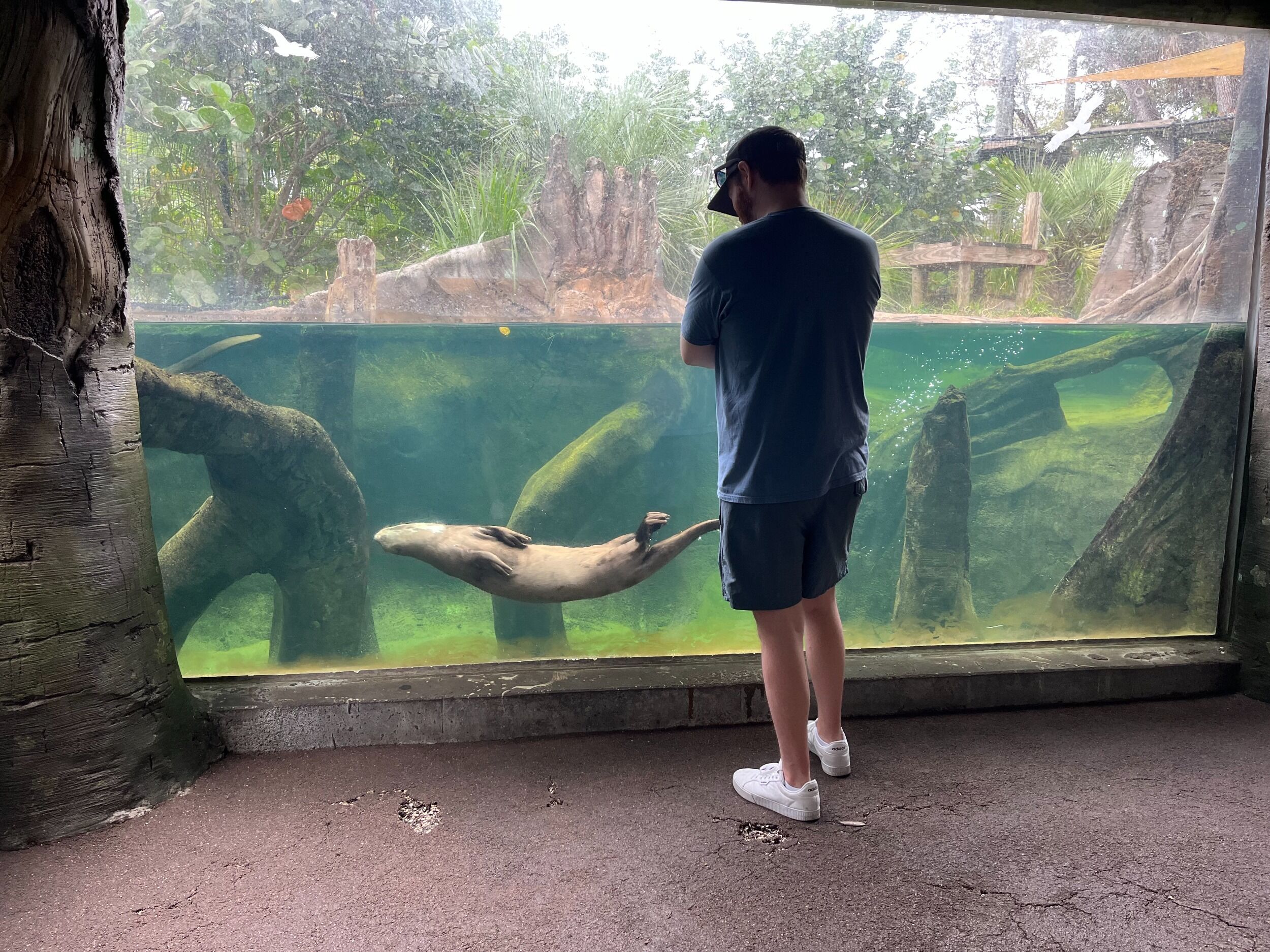 Picture of Brevard Zoo