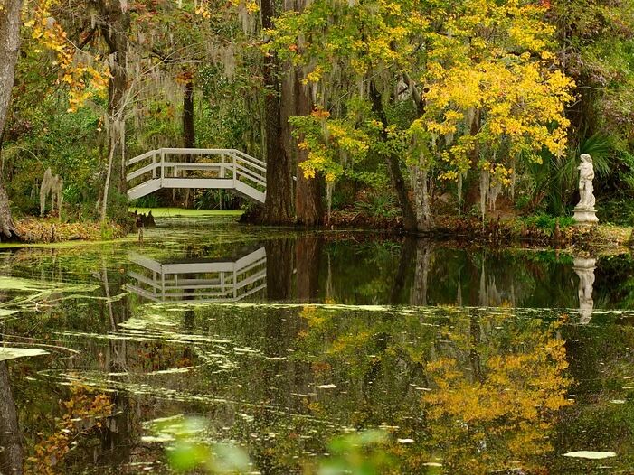 Picture of Magnolia  Plantation & Gardens