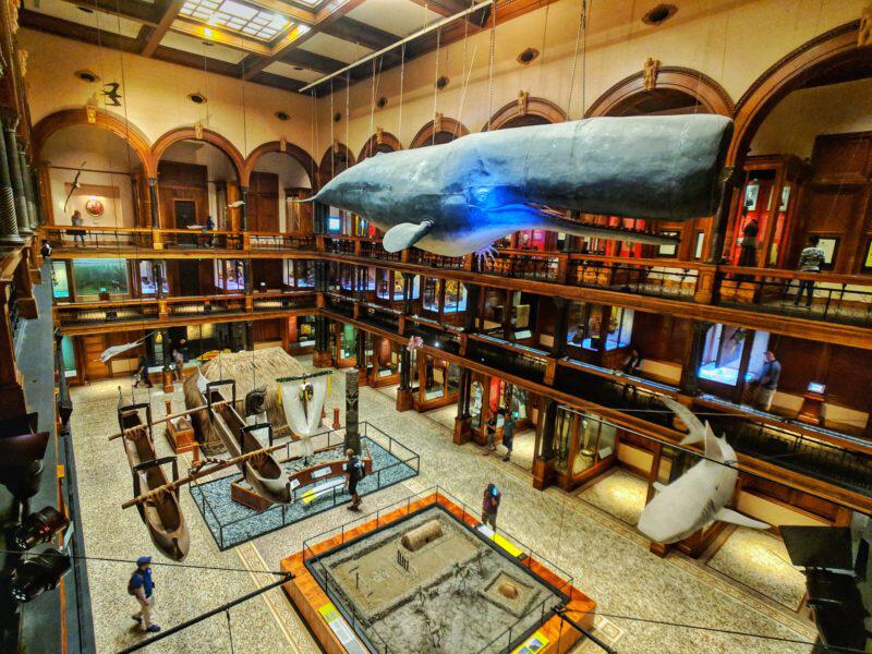Picture of Bishop Museum