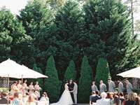 Wedding reception