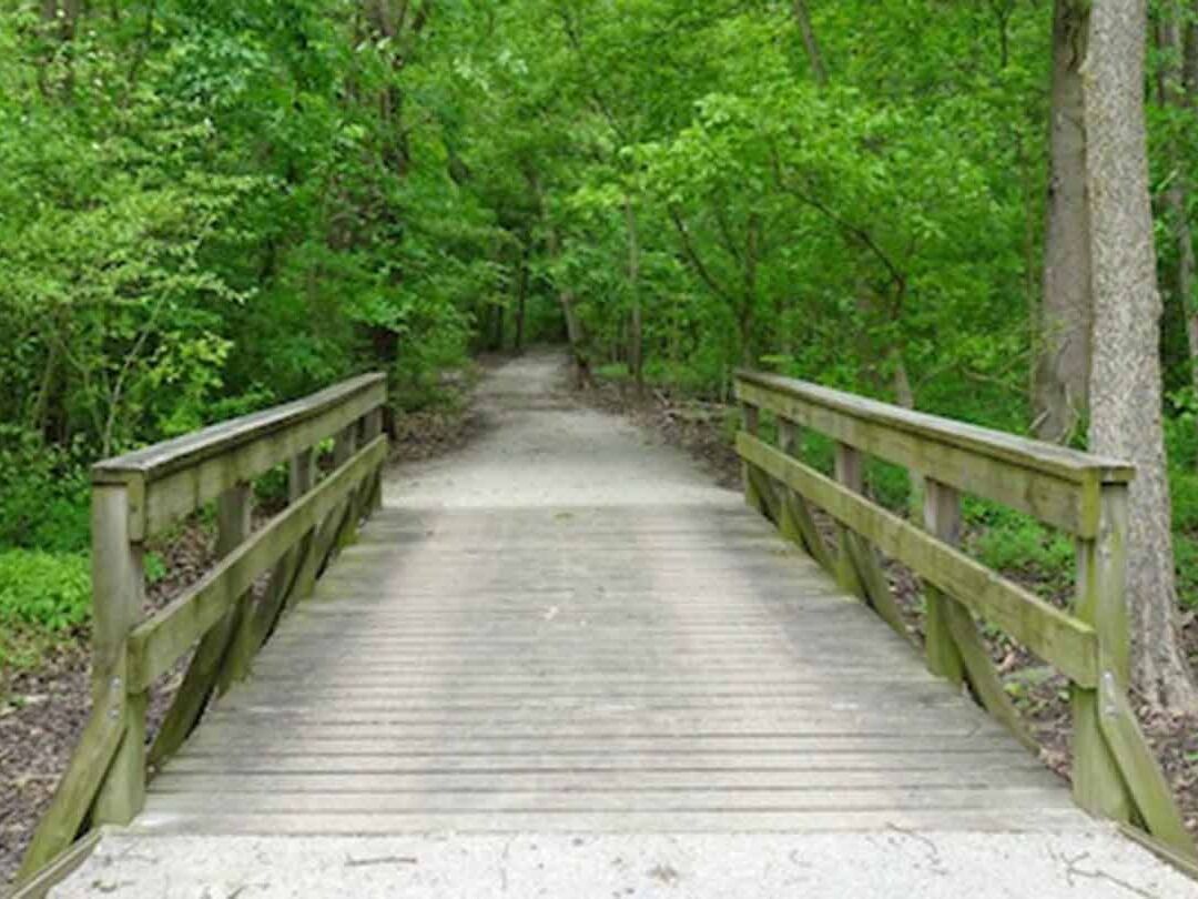 Picture of Douglas-Hart Nature Center