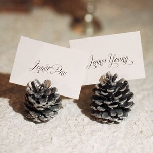 Acorn Name Holder