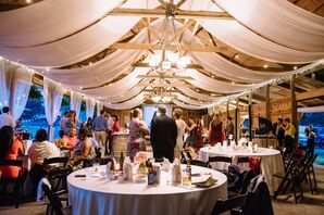 Llama Barn at Murray Hill Events Wedding Reception