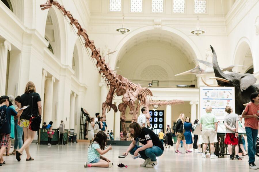 Picture of Field Museum