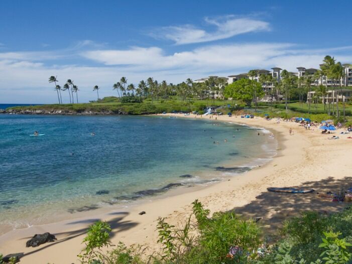 Picture of Kapalua Beaches 