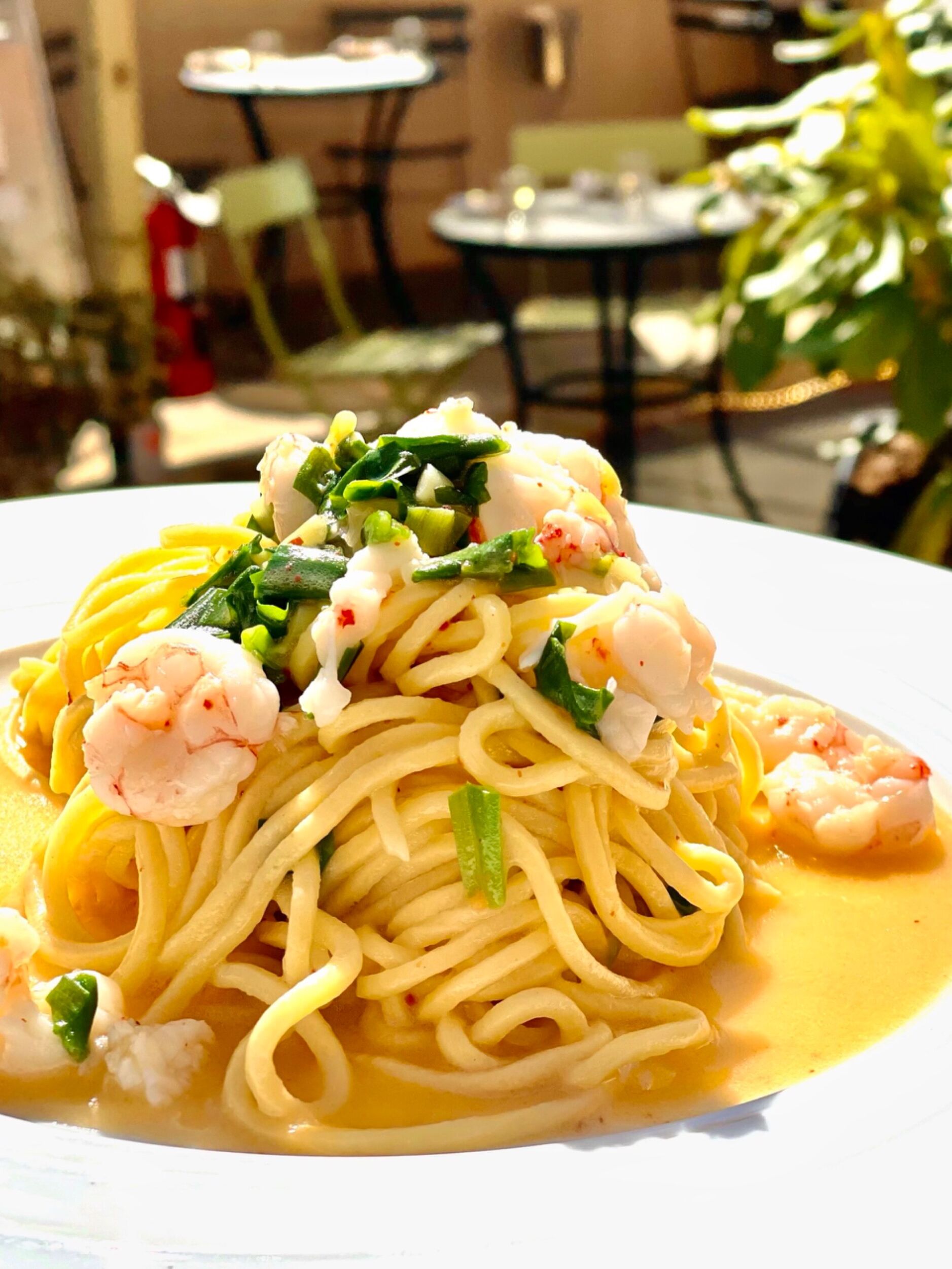 Picture of Fiorella Pasta
