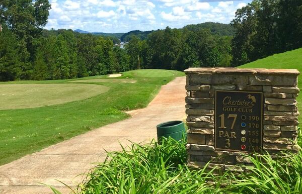 Picture of Cheststee Golf Club