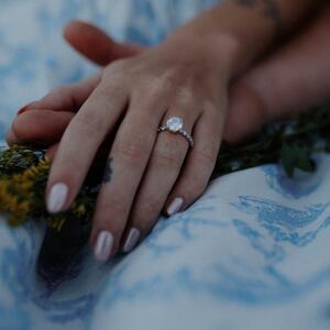 Gallery Photo 173