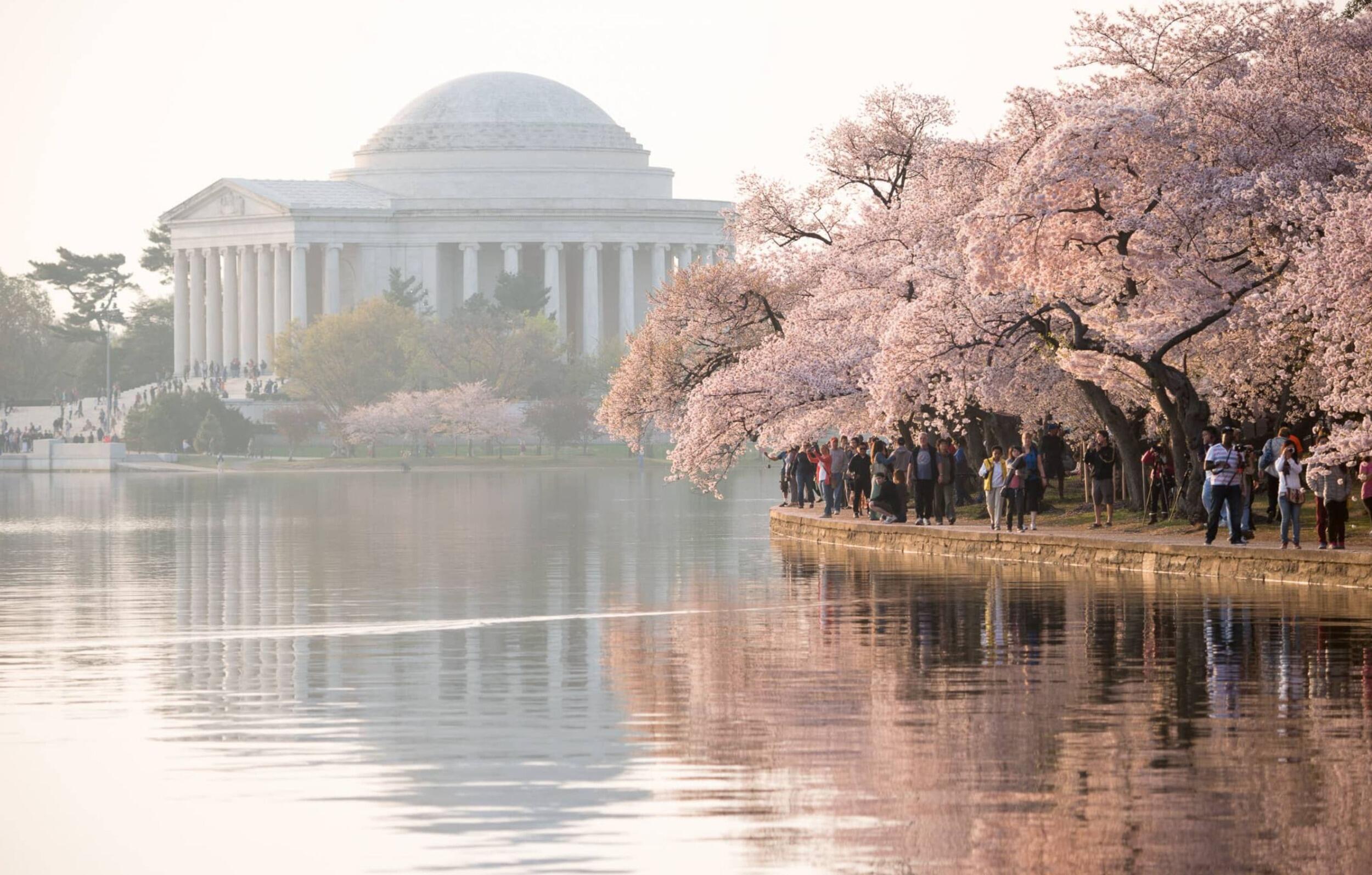 Picture of Tidal Basin