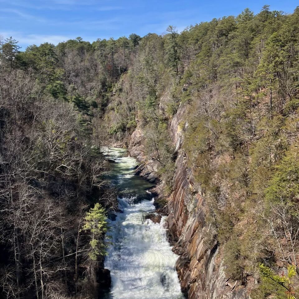 Picture of Tallulah Gorge State Park