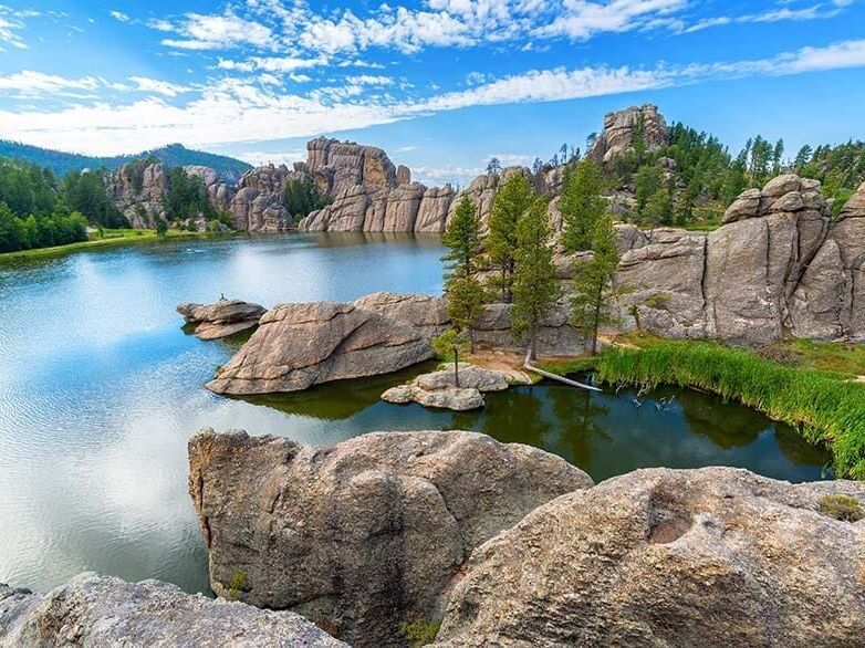 Picture of Custer State Park