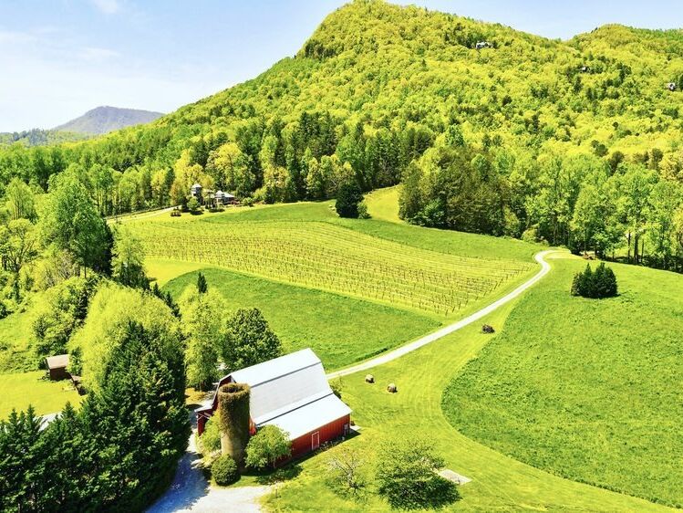 Picture of Tiger Mountain Vineyards