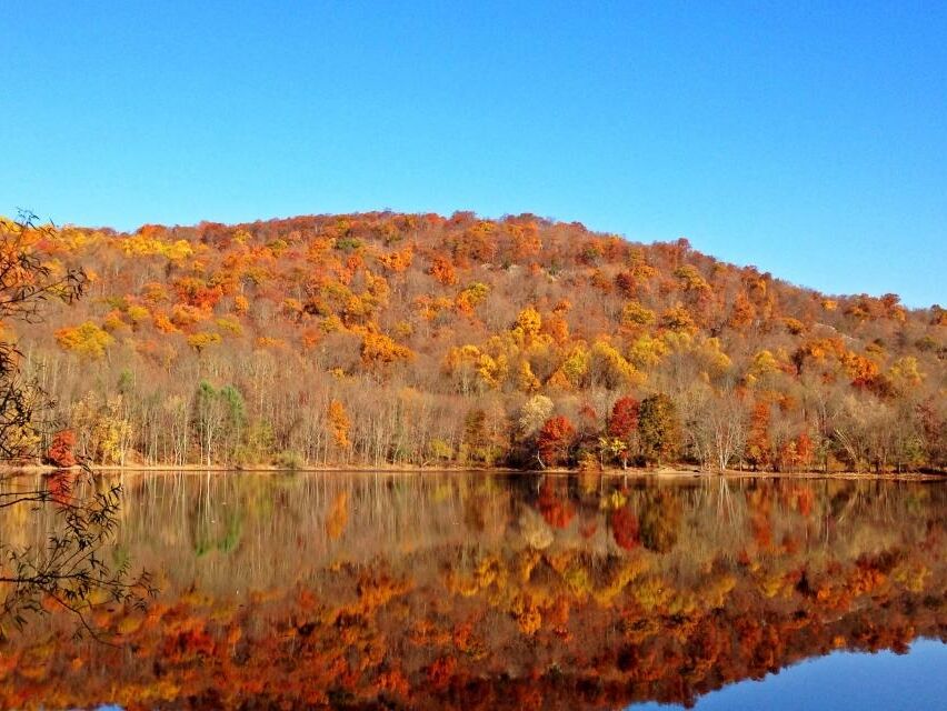 Picture of Ramapo Valley County Reservation