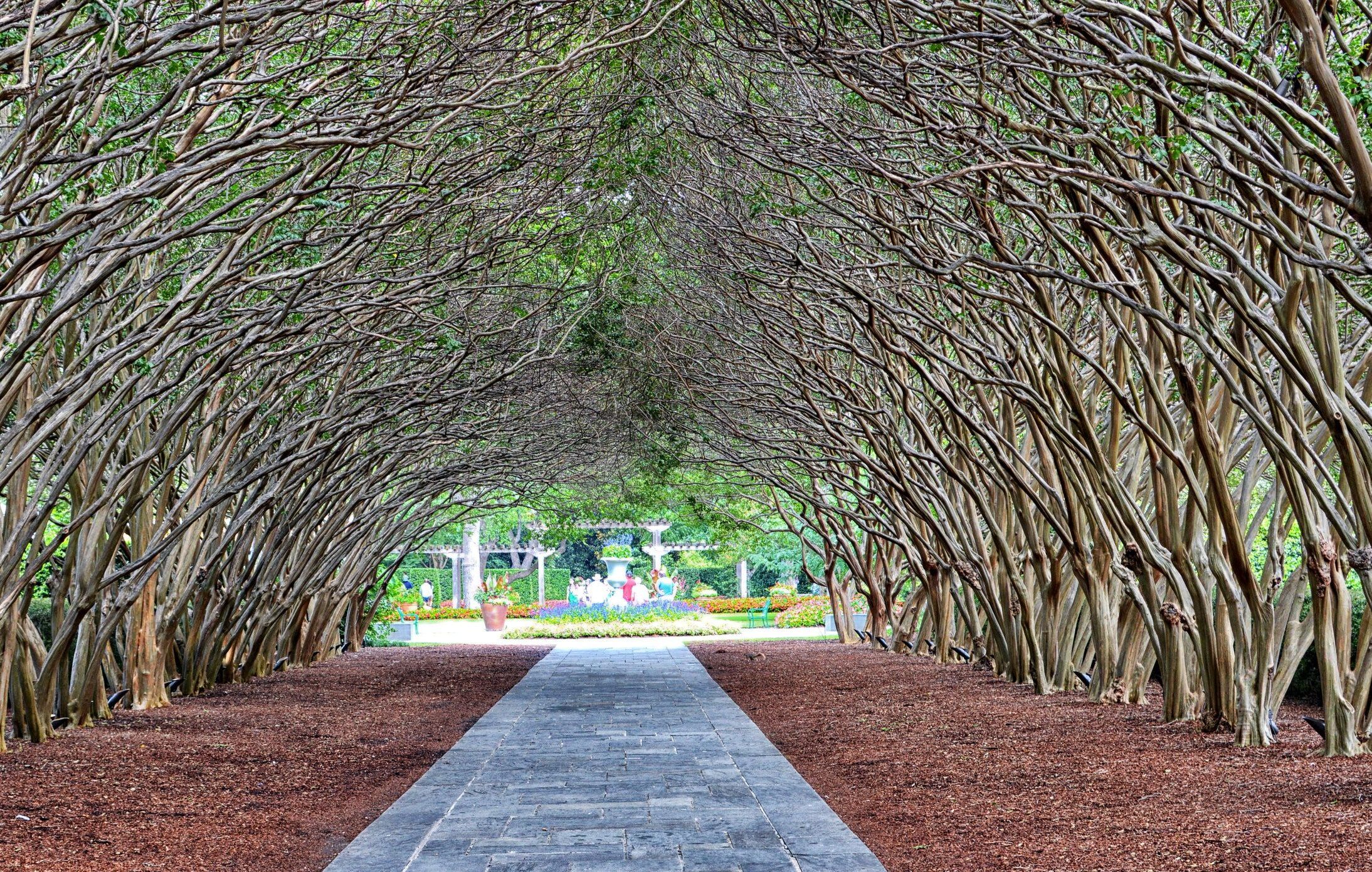 Picture of Dallas Arboretum and Botanical Garden