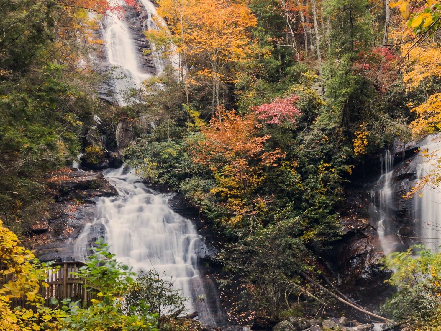 Picture of Anna Ruby Falls
