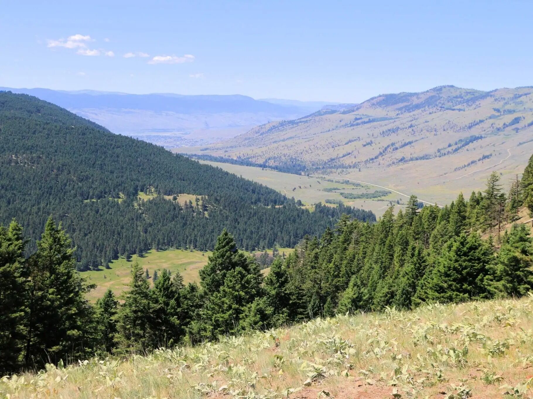 Picture of Hiking at Harper