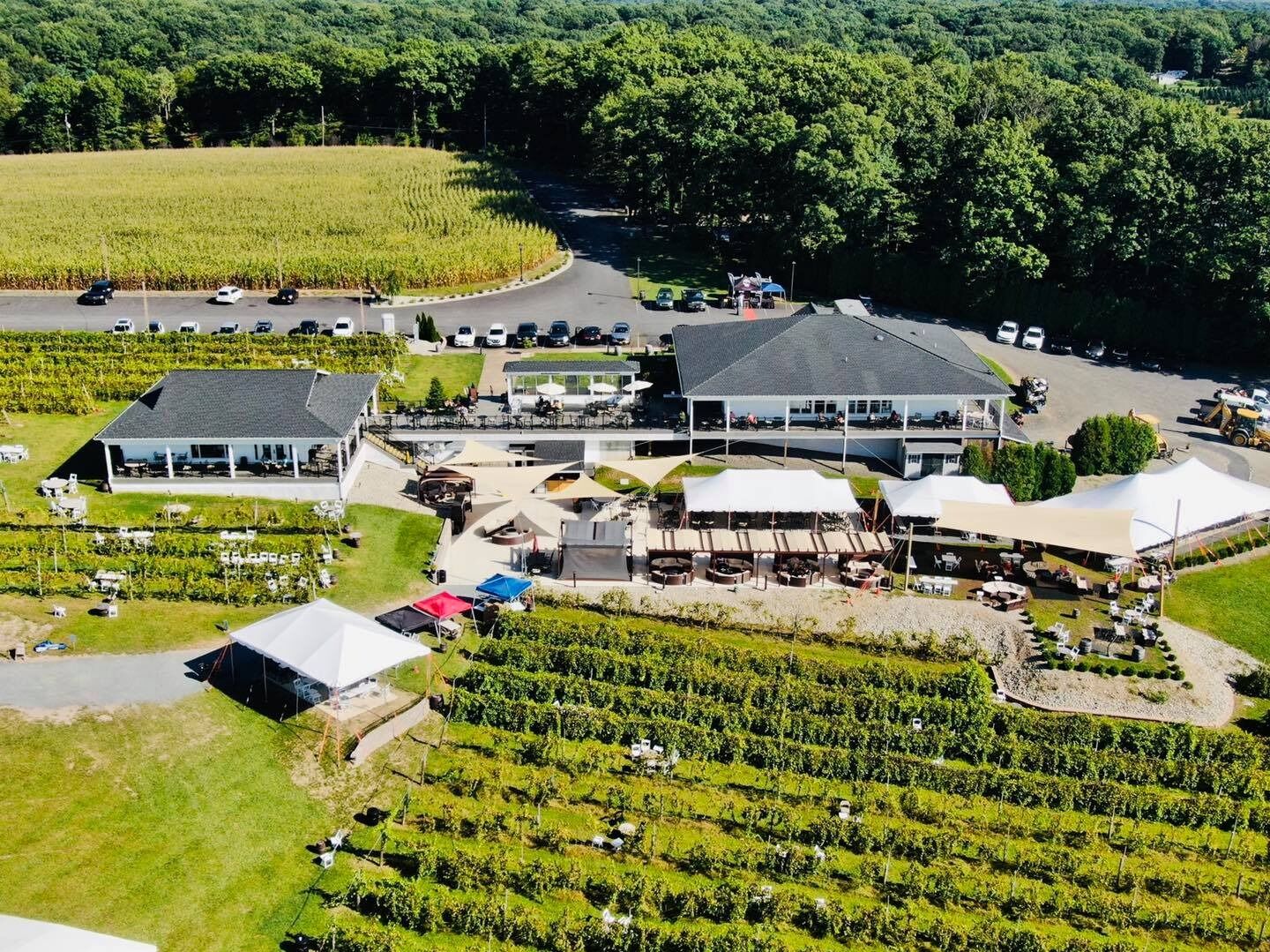 Picture of Blue Ridge Estate Vineyard & Winery