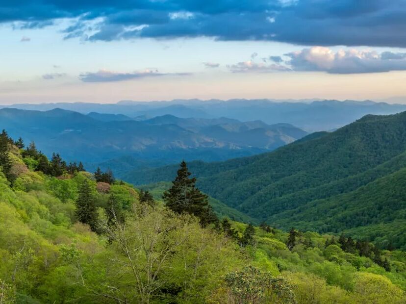 Picture of Great Smoky Mountains National Park