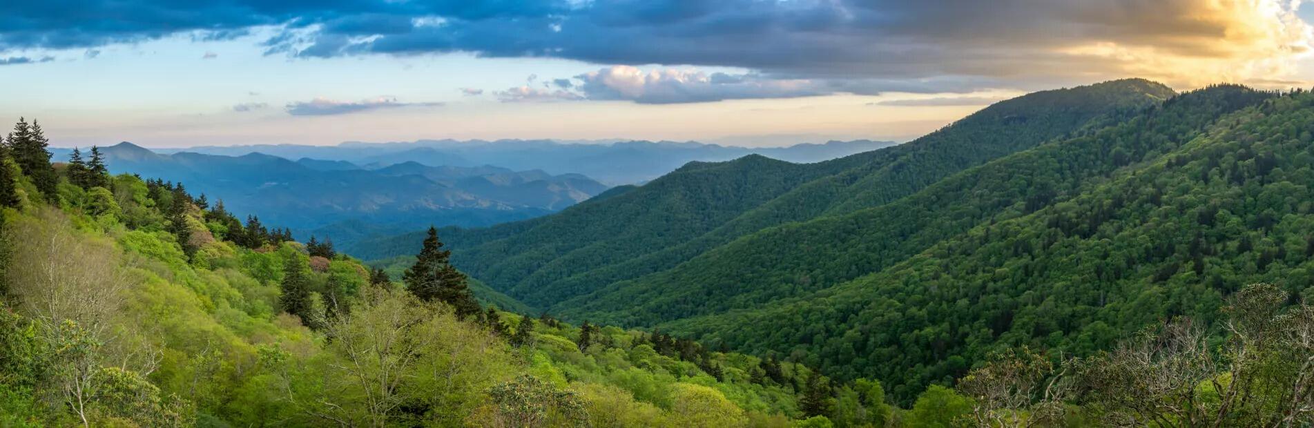 Picture of Great Smoky Mountains National Park