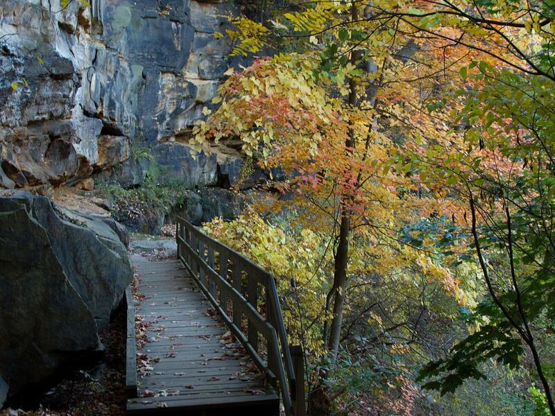 Picture of Gorge Metro Park