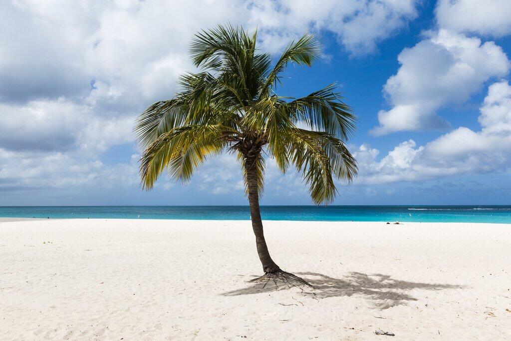 Picture of Eagle Beach- Voted Best Beach In The World -2023