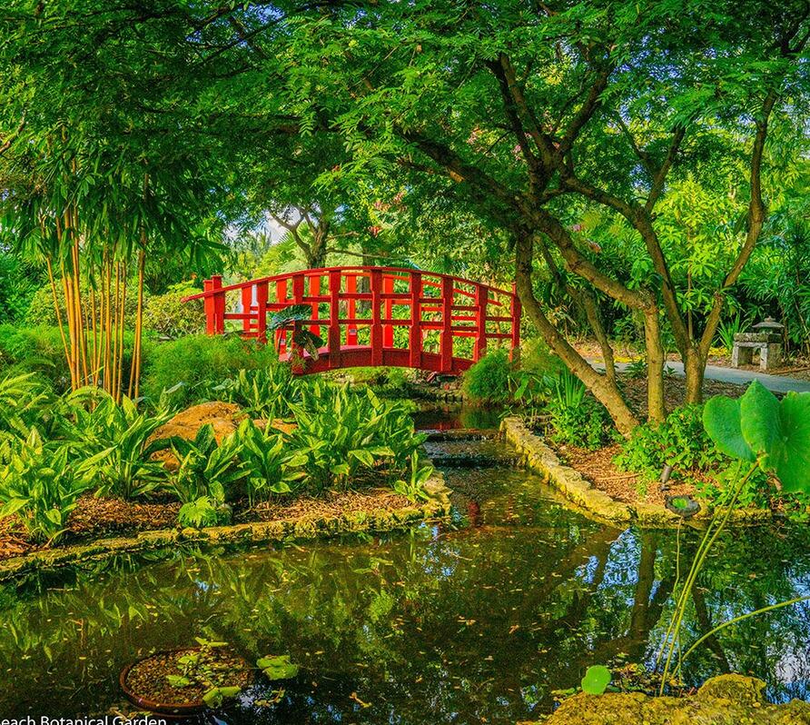 Picture of Miami Beach Botanical Garden