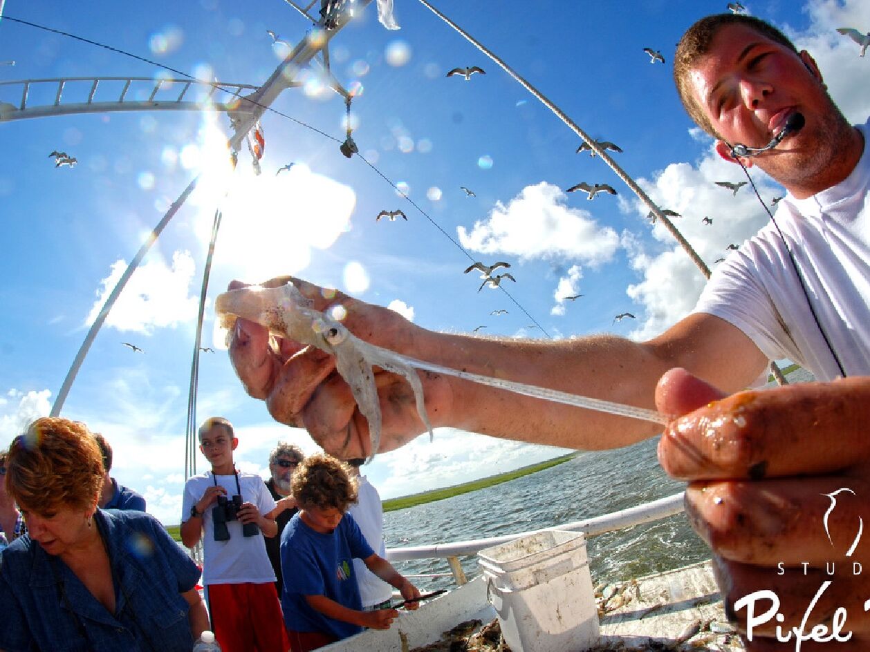 Picture of Coastal Tide Excursions, LLC.