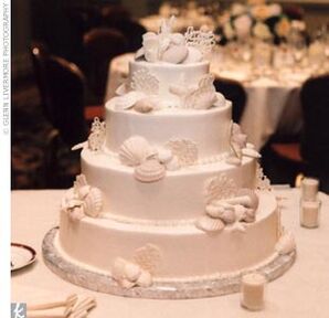 The Cake