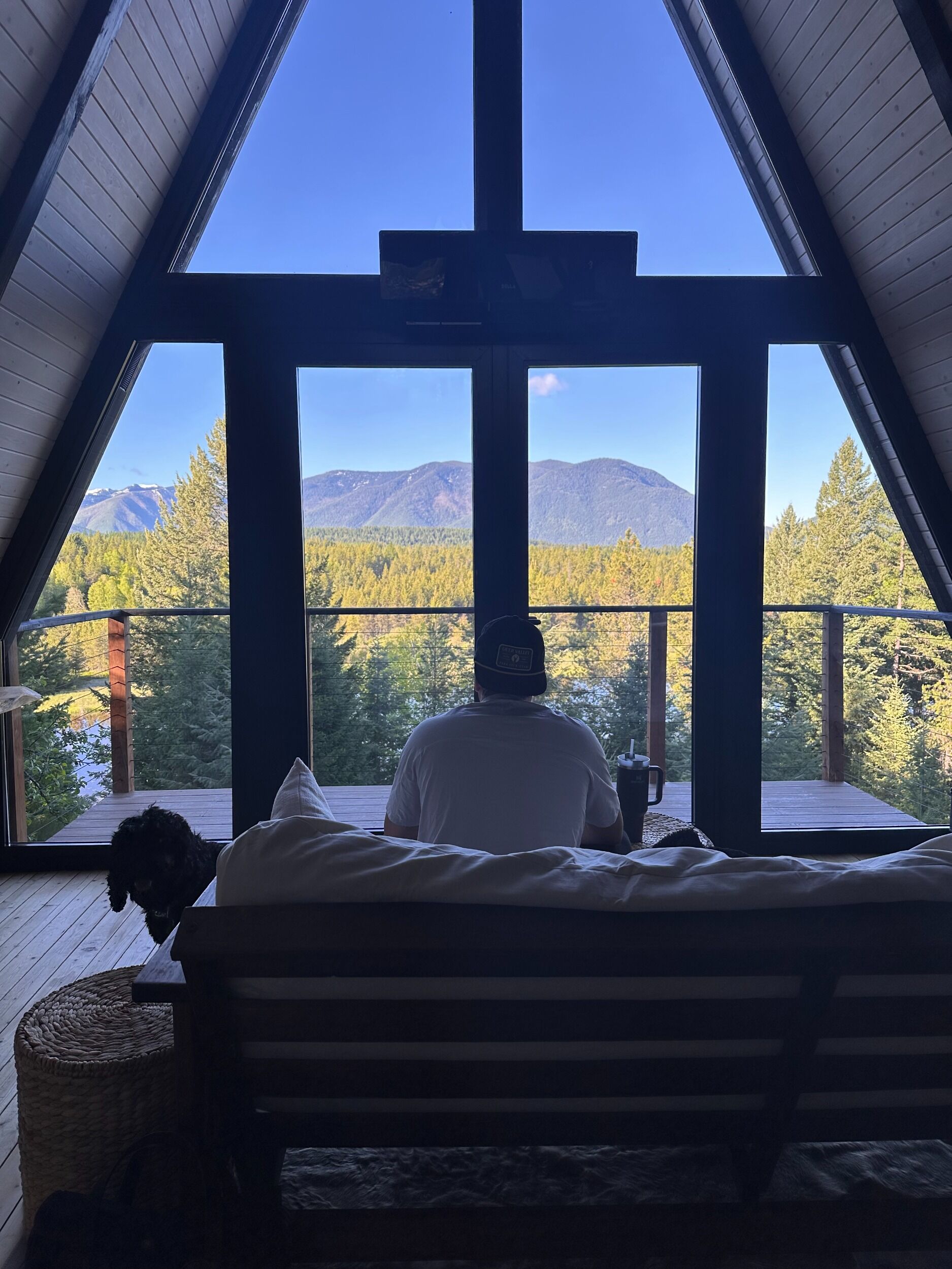 Picture of Stay Treetops