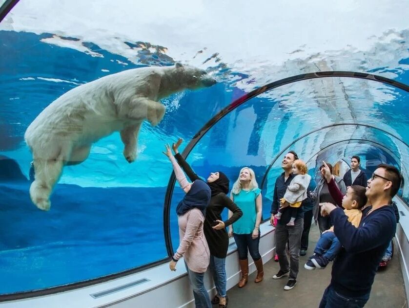 Picture of Detroit Zoo