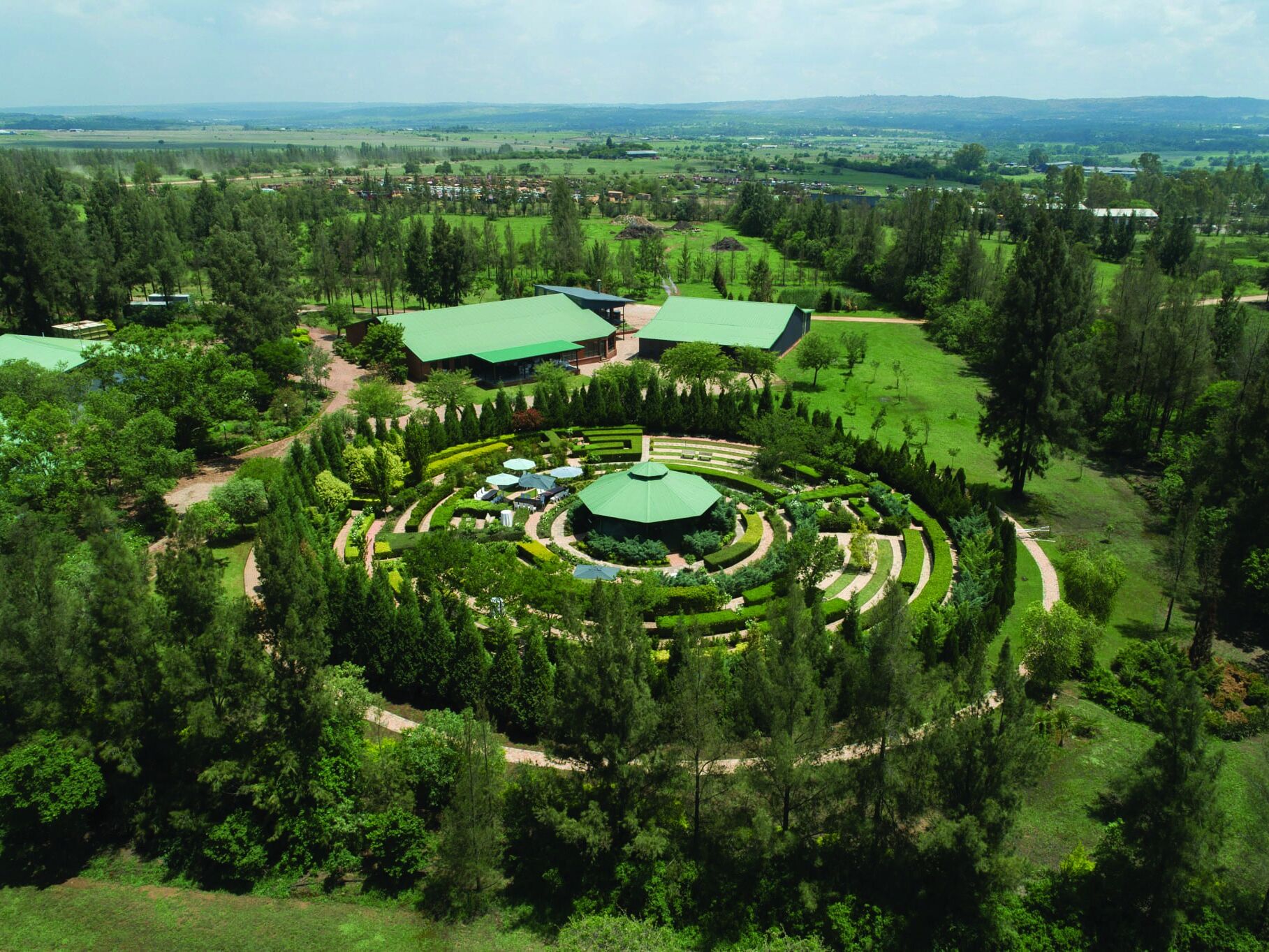 Picture of Rosemary Hill