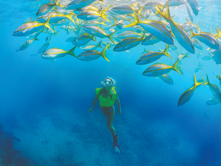 woman scuba diving amongst a school of fish