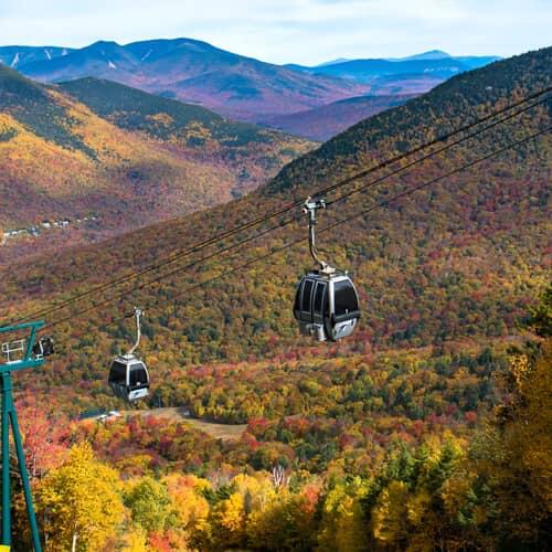 Picture of Gondola Summit & Skyride